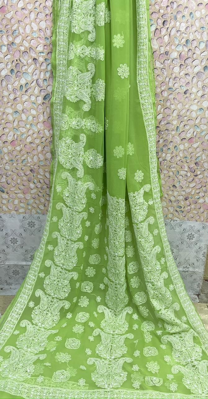 Lucknowi Chikankaari Handwork Saree